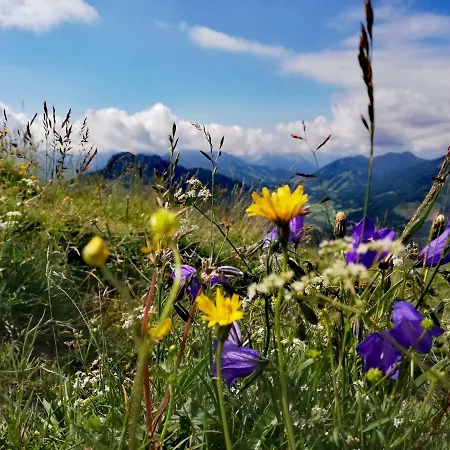Fewo: Heimatblick Apartman Wertach